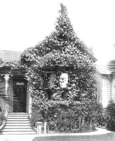 Rose Cottage, South Spring Street, Los Angeles, California, USA by Unbekannt