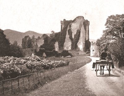 Ross Castle, Isle of Ross, County Kerry, Ireland by Unbekannt