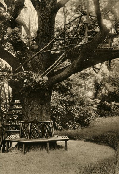 Rustic Treatment. - Summer House in a Tree, an ideal Tea House, 1920 by Unbekannt