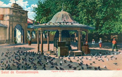 Salut de Constantinople - Pigeons at the Courtyard of Eyoub, c1900 by Unbekannt