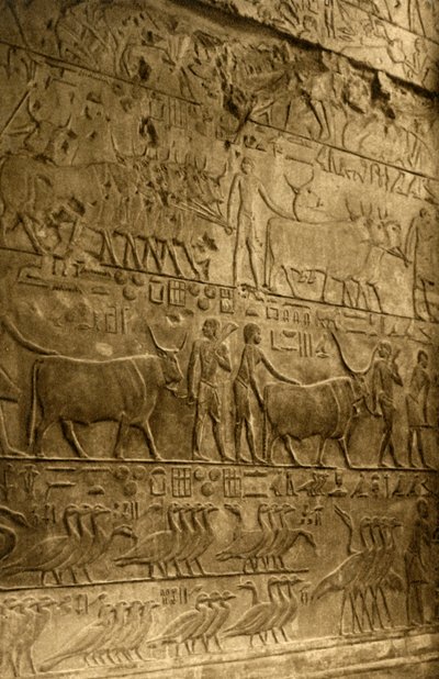 Saqqara - Tomb of Ptahotep - Mural Decoration, c1918-c1939 by Unbekannt