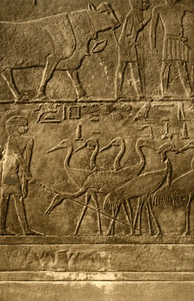 Saqqara - Tomb of Ti Mural Paintings by Unbekannt