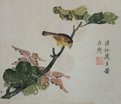 Seeds and Aleurites Cordata: Page from The Mustard Seed Garden Manual, 1782, 2nd Edition by Unbekannt
