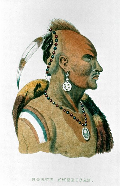 Sewessissing, Chief of the Iowa Indians by Unbekannt