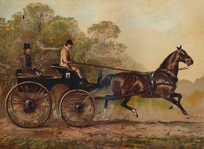 Single Harness Phaeton Horse Columbine, Property of Charles Baynes Esq., 1872 by Unbekannt