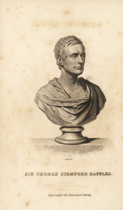 Sir Thomas Stamford Raffles, British statesman, writer and naturalist by Unbekannt