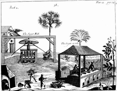 Slave Labour on a Sugar Plantation in the West Indies by Unbekannt