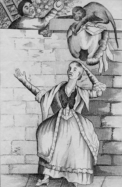 Sleight of Hand by a Monkey - or the Lady