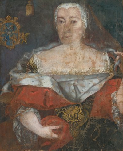 Slovak Painter Around Mid-18th Century - Portrait of a Zemianka in a Brocaded Cloak by Unbekannt