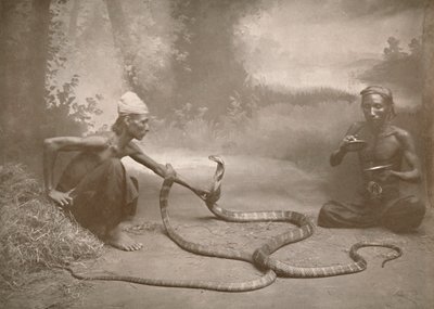 Snake Charmers with Hamadryads Kuy Cobras by Unbekannt