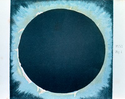 Solar Corona and Prominences 1860-1870 by Unbekannt