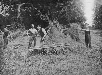 Soldiers Assisting the Farmers by Getting in the Hay by Unbekannt