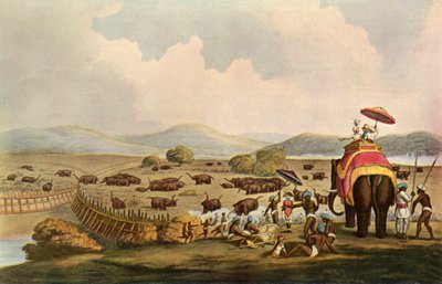Sport in India - Driving Elephants Into A Keddah by Unbekannt