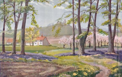 Spring - The Physical, Chemical and Biological Changes Wrought By The Sun During The Year by Unbekannt
