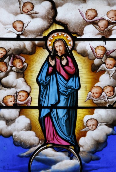 Stained glass in Saint-Louis cathedral: Virgin Mary, Blois, France by Unbekannt