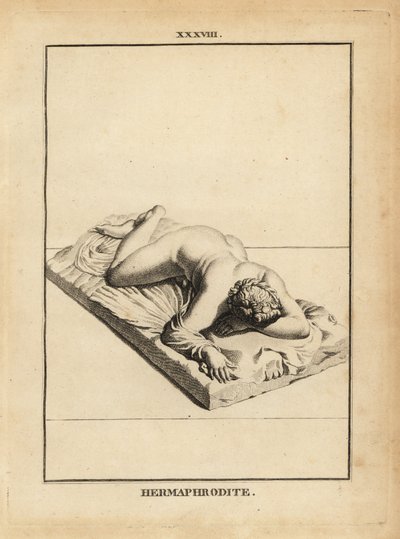 Statue of Hermaphroditus, Greek god of unions, androgyny, marriage, sexuality, prone on a bed by Unbekannt