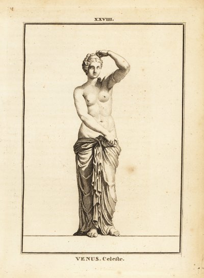 Statue of Venus Celeste, Roman goddess of love, beauty, sex and fertility by Unbekannt