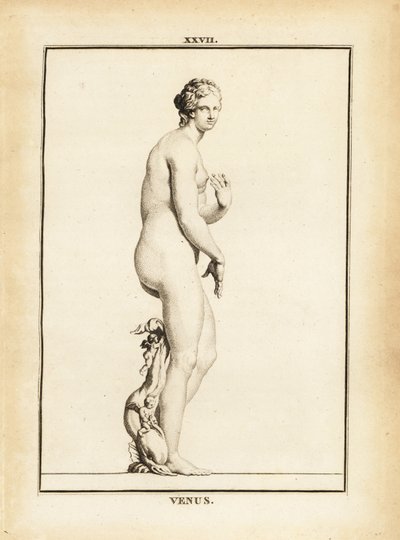 Statue of Venus, Roman goddess of love, beauty, sex and fertility by Unbekannt
