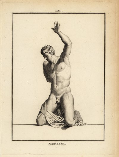 Statue of Narcissus by Unbekannt