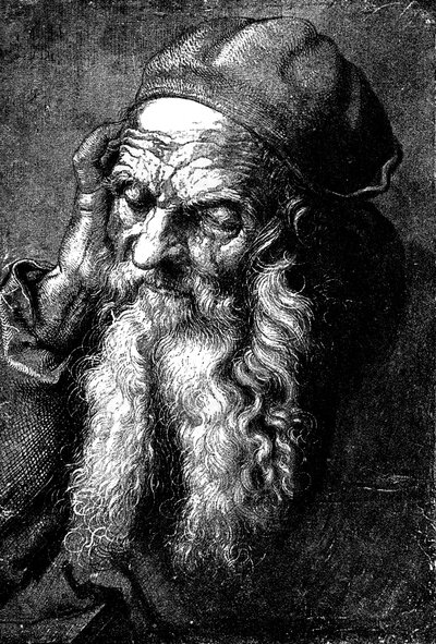 Study of an Old Man by Unbekannt