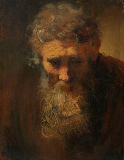 Study of an Old Man, probably late 17th century by Unbekannt
