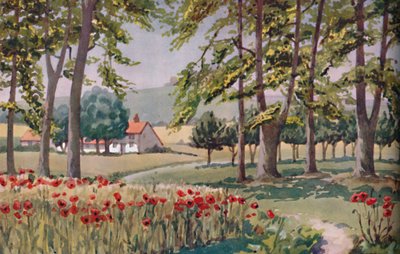 Summer - The Physical, Chemical and Biological Changes Wrought By The Sun During The Year by Unbekannt