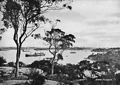Sydney Harbour, from Cremorne Point by Unbekannt