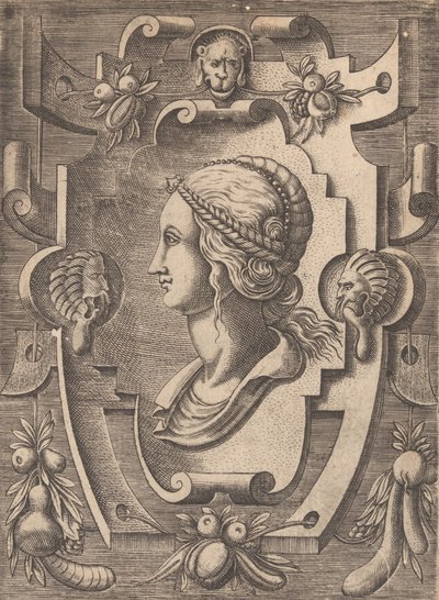 Cartouches and Other Ornaments by Unbekannt