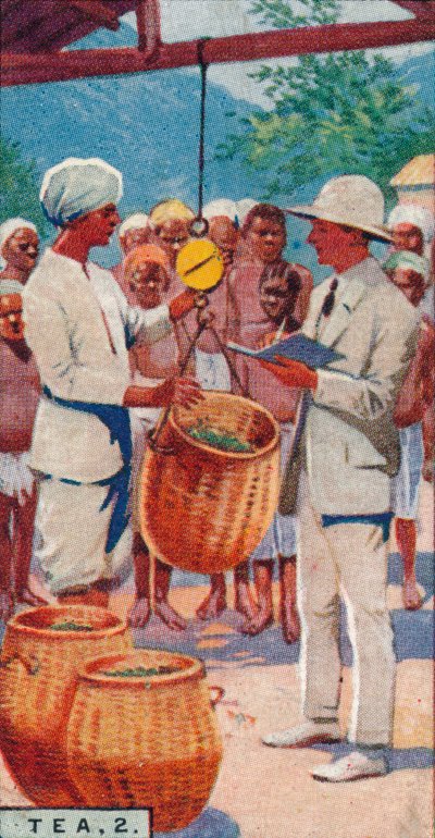 Tea, 2. - Weighing the Pickings, Ceylon by Unbekannt