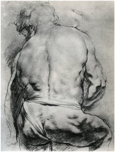 The Back of a Nude Man by Unbekannt