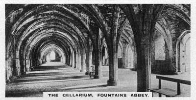 The Cellarium, Fountains Abbey, Yorkshire by Unbekannt