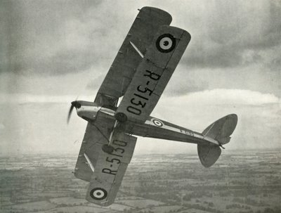 The De Havilland Tiger Moth, 1941 by Unbekannt