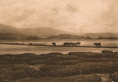 The Dovey at Ynyslas by Unbekannt