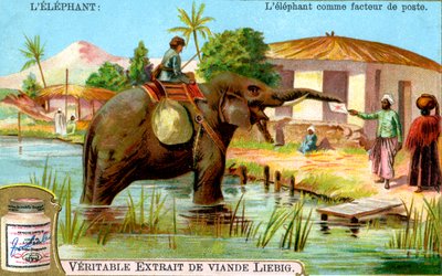 The Elephant as Postman by Unbekannt