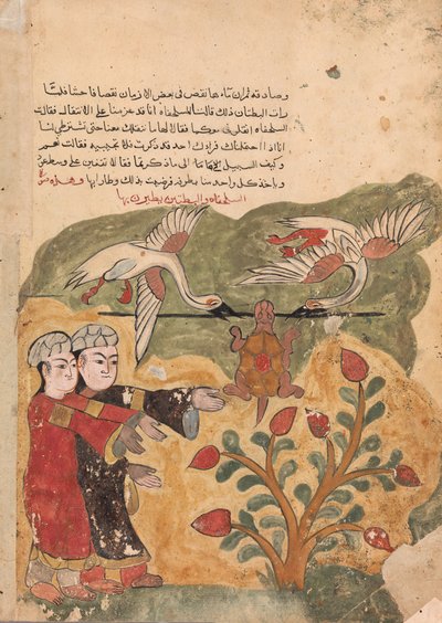 The Flight of the Tortoise, Folio from a Kalila wa Dimna, 18th century by Unbekannt