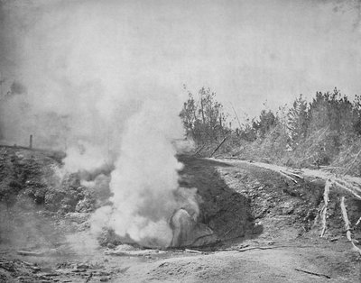 The Growler, Norris Geyser Basin, Yellowstone Park by Unbekannt