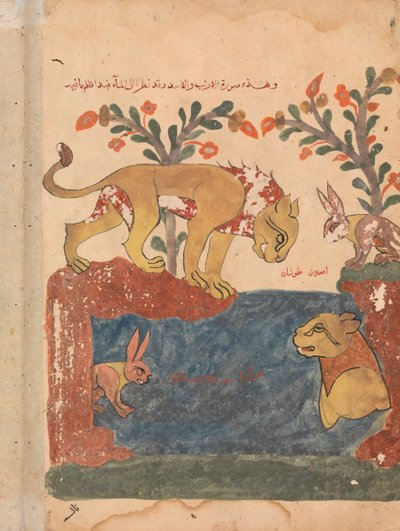 The Hare, the Lion, and the Well, Folio from a Kalila wa Dimna by Unbekannt