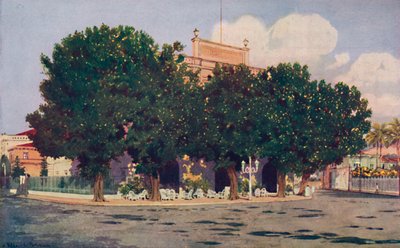 The Hotel dos Estrangeiros. Frequented by the Official World of Rio and Distinguished Foreigners by Unbekannt