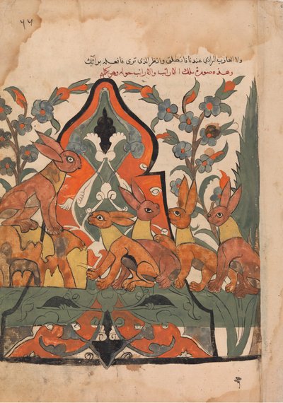 The King of the Hares in Counsel with his Subjects, Folio from a Kalila wa Dimna by Unbekannt