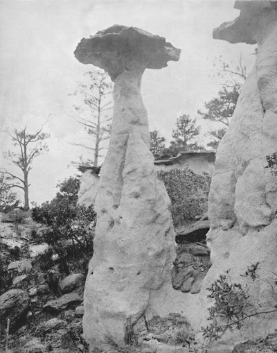 The Lone Rocks, 19th century by Unbekannt