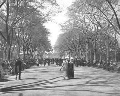 The Mall, Central Park, New York, USA by Unbekannt