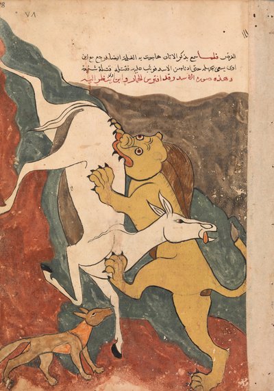 The Monkey Tells the Story of the Fox Luring the Ass to its Death by the Lion by Unbekannt