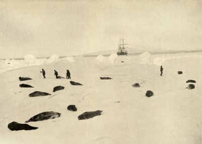 The Nimrod at Pram Point on March 4, 1909 by Unbekannt