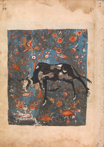 The Ox Shanzabeh Left Behind, Grazing in the Territory of the Lion King by Unbekannt