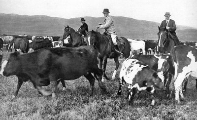 The Prince of Wales rounding up cattle in Alberta, Canada by Unbekannt
