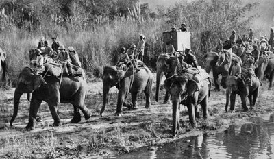 The Prince of Wales Tiger Shooting in India by Unbekannt