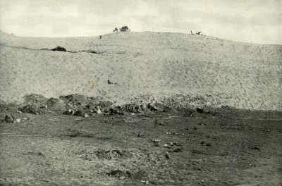 The Turkish Defeat on the Suez Canal by Unbekannt