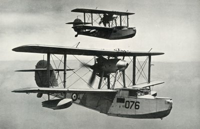 The Vickers-Armstrongs Walrus by Unbekannt