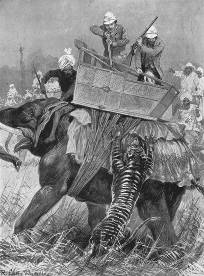 The Visit of the Prince of Wales to India, 1876: The Prince