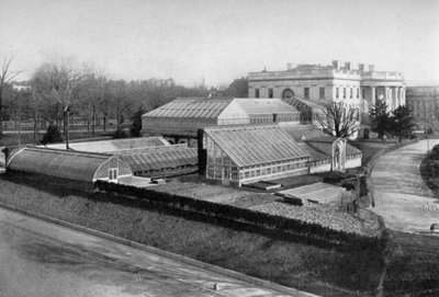 The White House and Greenhouses, Washington DC, USA, 1908 by Unbekannt